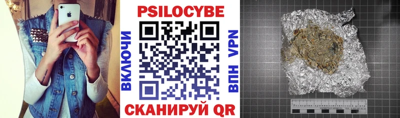 кракен ТОР  закладки  Камбарка  Галлюциногенные грибы Cubensis 